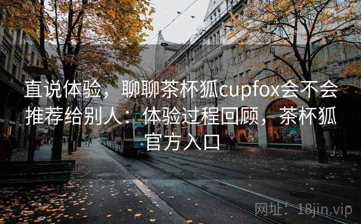 直说体验，聊聊茶杯狐cupfox会不会推荐给别人：体验过程回顾，茶杯狐官方入口